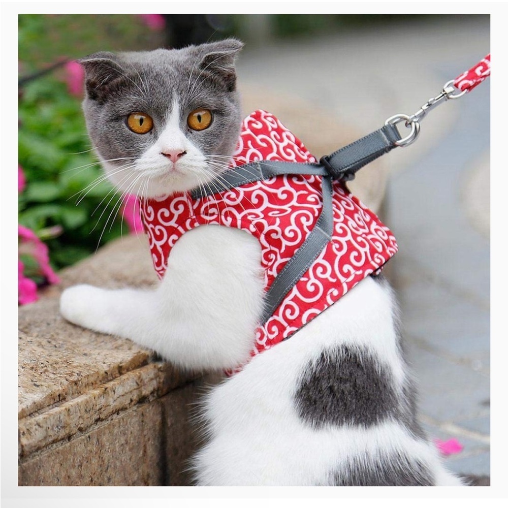 L2MY  Wear Resistant Anti-Rust Breathable Mesh Pet Vest and Matching Leash